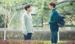 15年等候鸟在线观看,等候鸟在线观看，重温感动时光